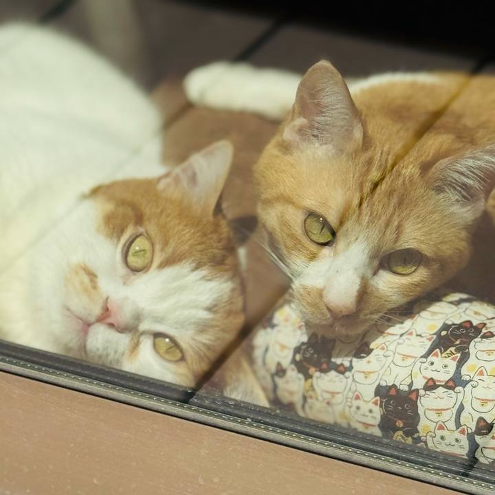 Dbe98636 17ac 4f1e b45d dcb674ad3514 1775970331175