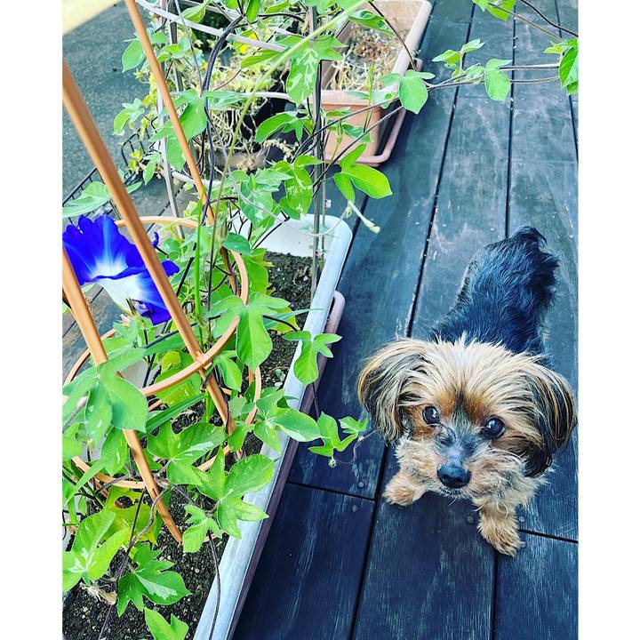 Dbe9ad07 fe5a 4a3d be5e d24a87fd63ba 1690671981820