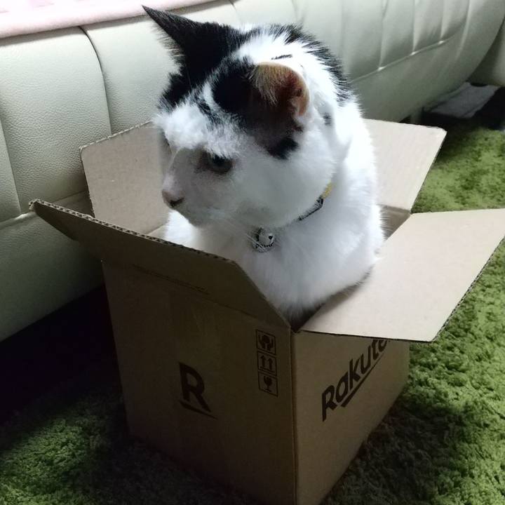 Dbe9b7df ffe9 4501 b1d6 528c8219ef69 1607754794624