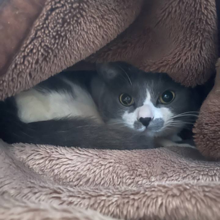 Dbe9c159 40e1 4c49 9538 babcfeebdc8a 1711238962803