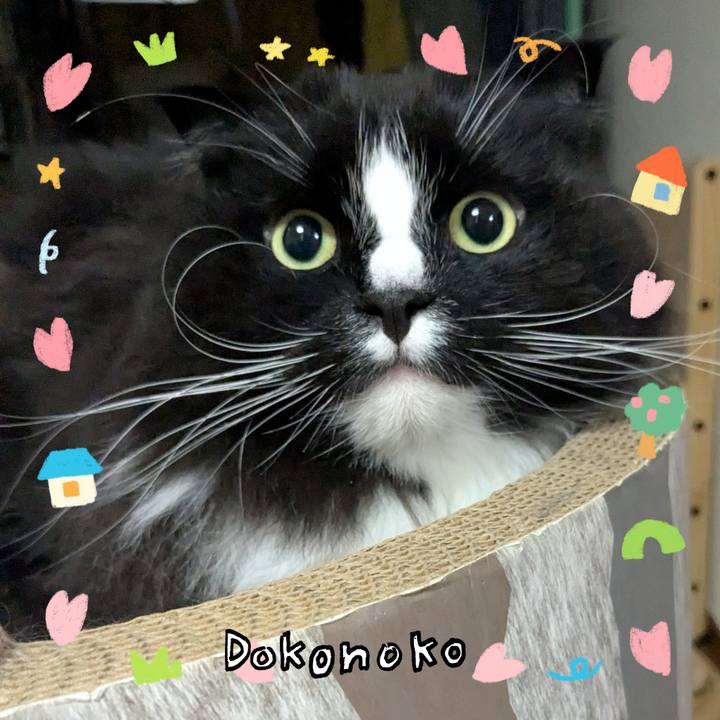 Dbe9c3c4 b41d 470e b0fa 8d95da121d64 1741208992562