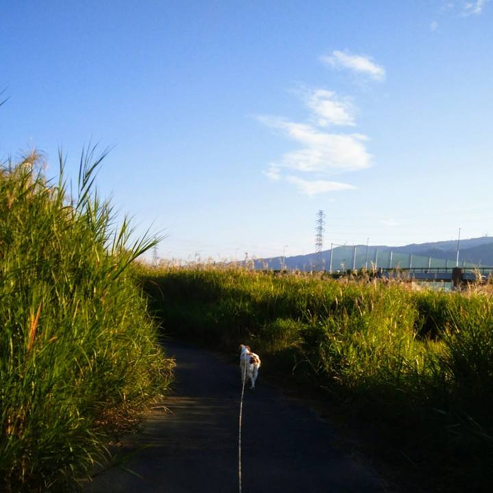 Dbe9deca cc57 4fb1 a4db bf7808167161 1539734693363