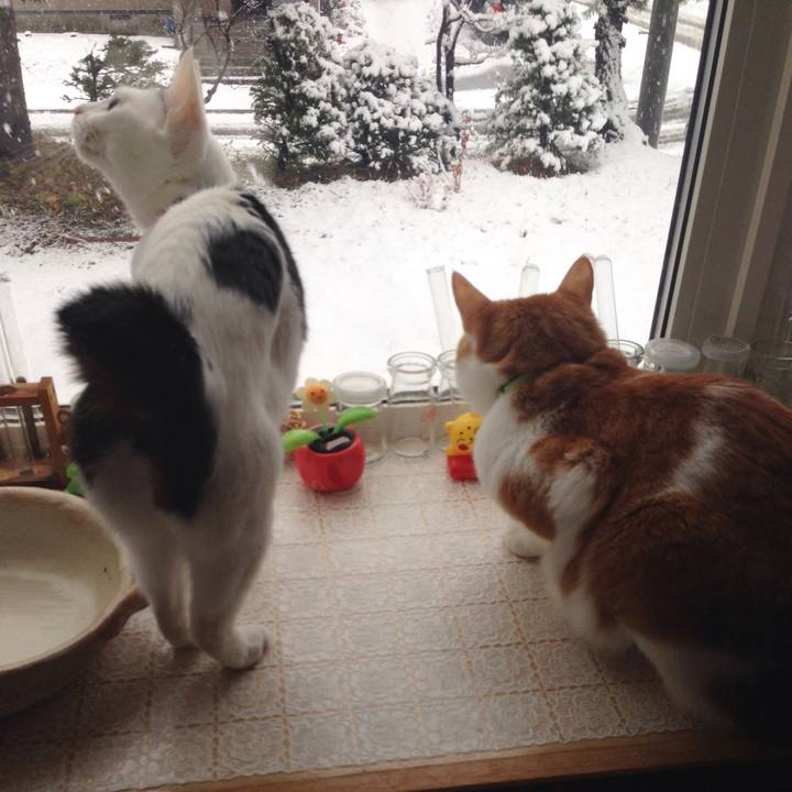 Dbea089c a2ee 4c0b 8925 b49328621792 1509748517259