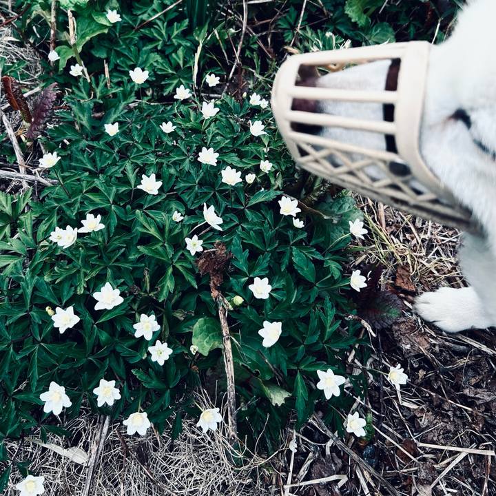 Dbea0f19 1988 4236 8686 7b75e16ad13f 1746755643235