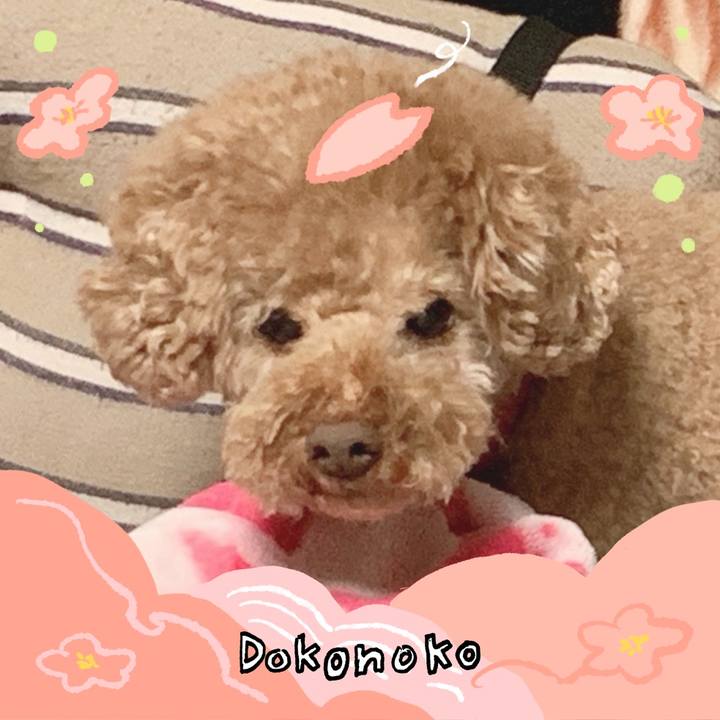 Dbea473b e188 4aeb a7bb 718158bedd3f 1775262312225