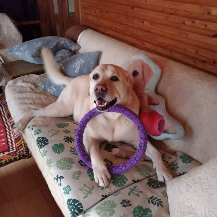 Dbea7110 341b 4333 a971 29cd711623bc 1638750928327