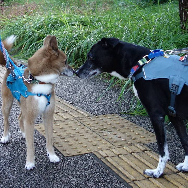 Dbea7d9e 0ca4 462e abec 272958734721 1729297338639