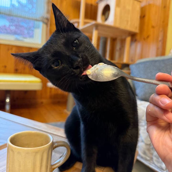 Dbeacba3 e287 45db 812b 2e23030b4025 1762039500997