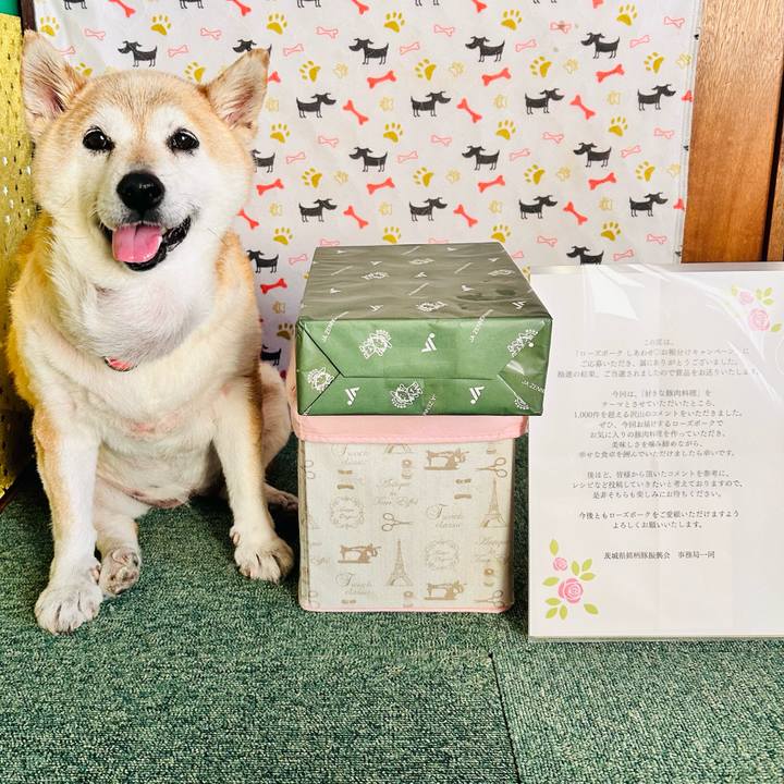 Dbeb08dd 2d6b 4c26 acd2 0b31800749af 1752719614453