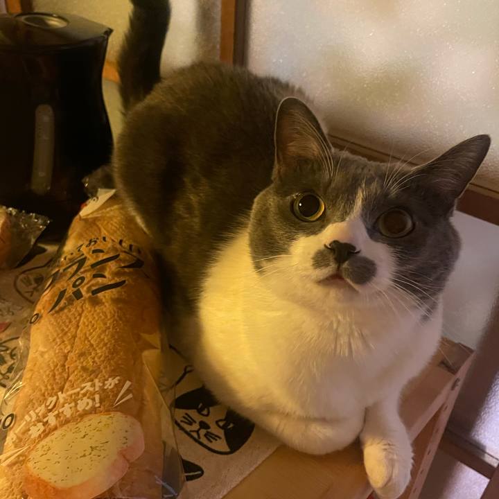 Dbeb0ae5 5197 4a5e b2e0 fd0b169c6f82 1738678713401