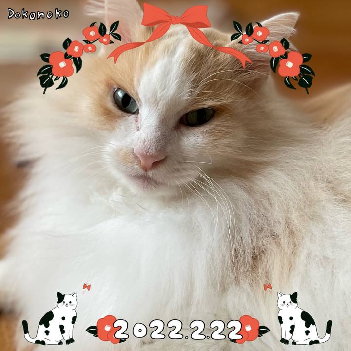 Dbeb387b 8469 484d 97c6 ea7d4878cee3 1645524551025