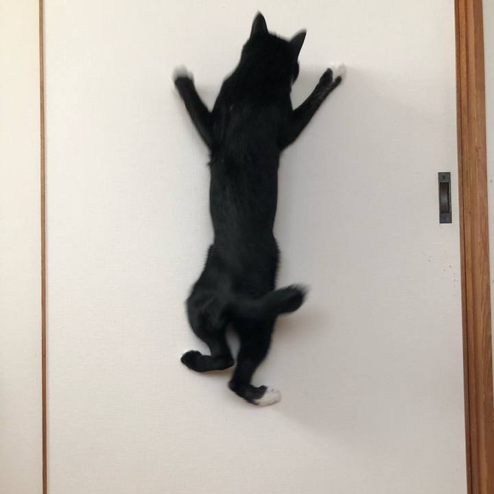 Dbeb3c7d 17be 432c 9b38 f9c85393c66b 1543290345460