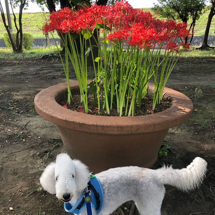 Dbeb4ec0 0a34 4897 a8b3 61fccc7cfa83 1601697719725