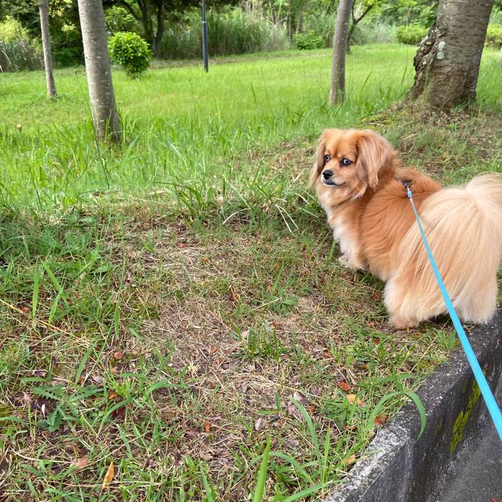 Dbeb7268 2bc6 4973 b563 e7e7eada6e6c 1590961363916