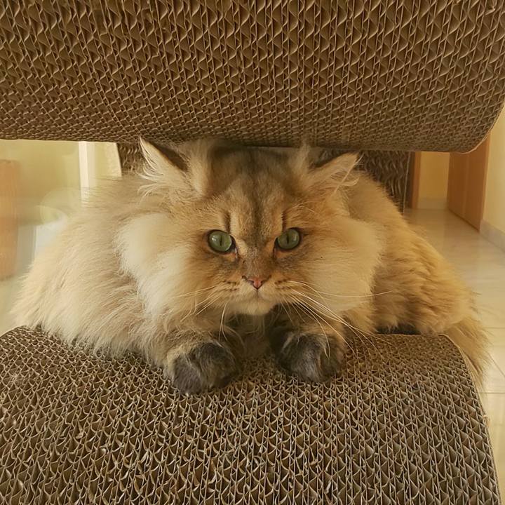 Dbeba8a6 1794 4e25 9c5e 2122b4d98fe8 1578961722432