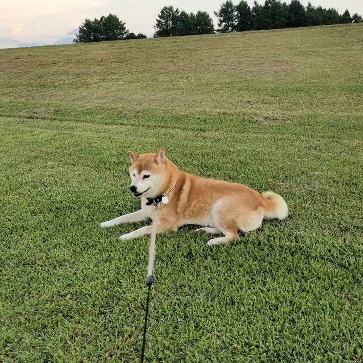 Dbebbab5 79e4 4e60 bd83 2db9a5ddb5ef 1626860109586