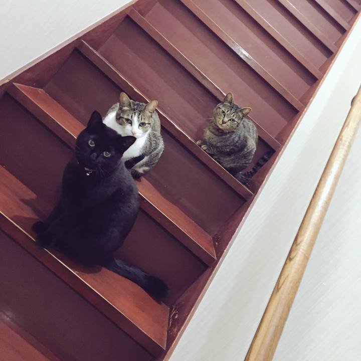 Dbec2d1f 6d8e 4fd1 a84e 89066d984f71 1523539599944