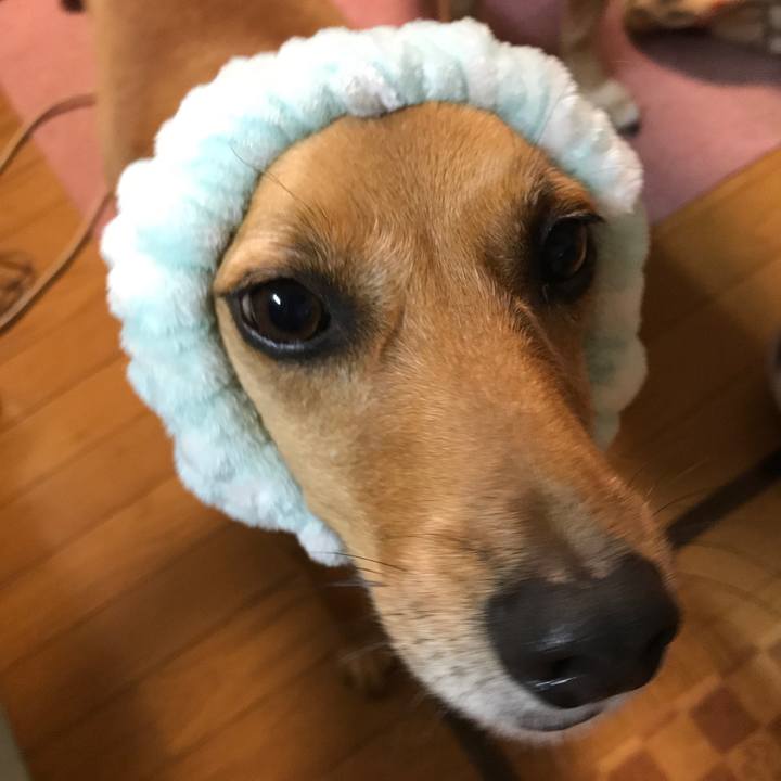 Dbec4ff1 c09d 4782 bc4a c672311f39fb 1537696705274