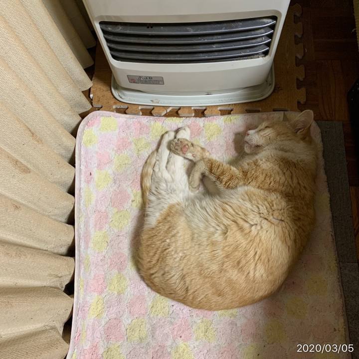 Dbec5018 e65d 48fa 98a2 9bdd62848f37 1583414836136