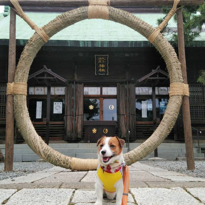 Dbec5ac8 a9ef 4ed7 b758 818229ff157d 1530175431487