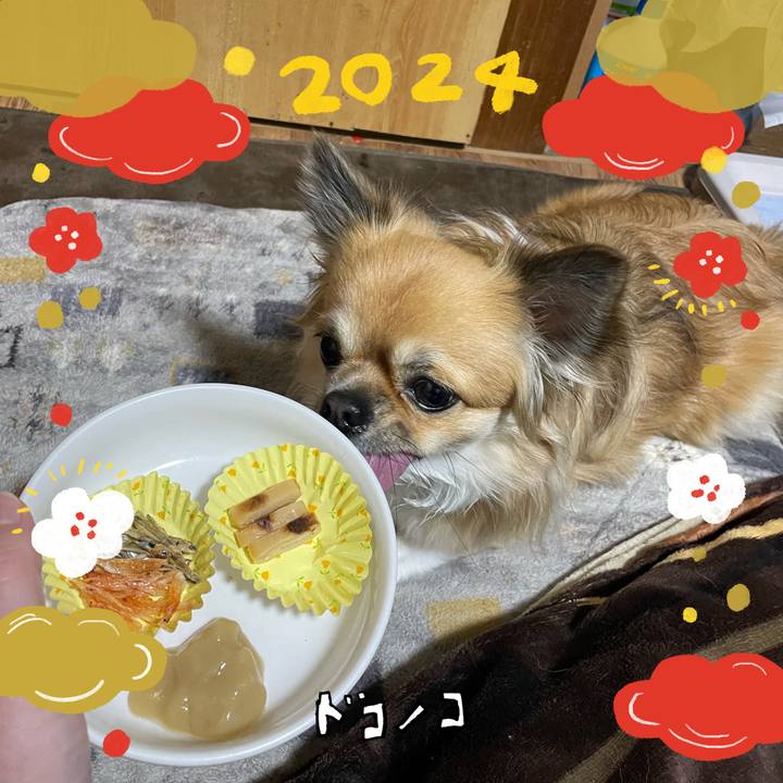 Dbecc837 2f4d 406e 99f4 0bcdf40acfb4 1704177492551