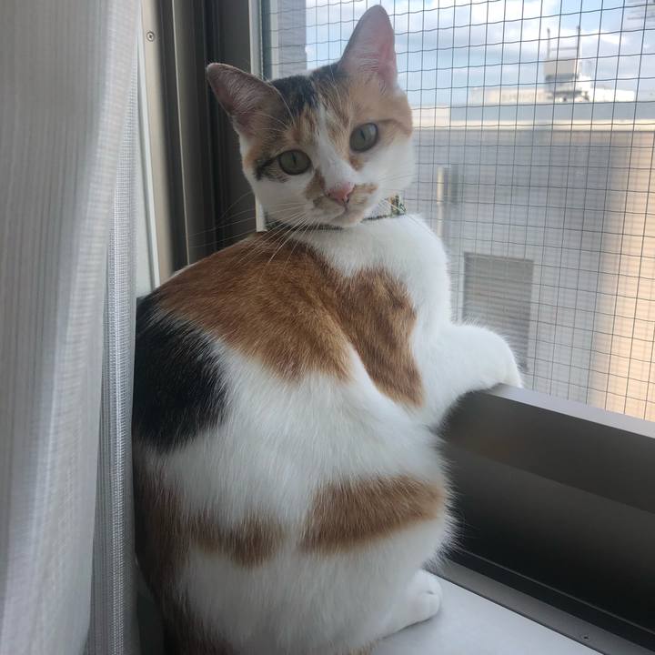 Dbed0f0e 7a21 4fe3 a925 d37219a71af6 1598311904422