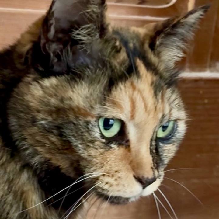 Dbed1191 fd63 4662 858c d5220866b058 1770812409657