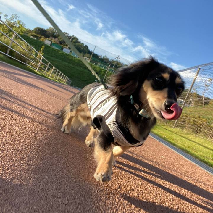 Dbed285f a507 44e0 990c 0856122fb67b 1696829850916