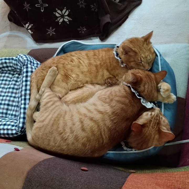 Dbed5a82 89cf 4937 92b5 127500ea5d63 1611570506773