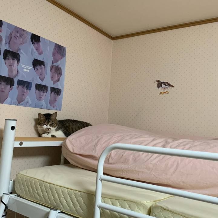 Dbed8712 5123 4988 87fc b30c646303c2 1621092908761