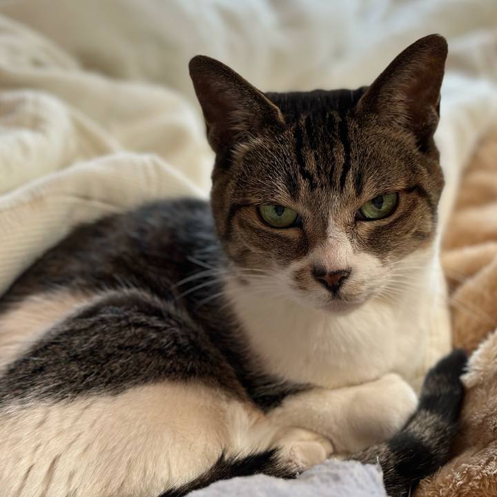 Dbed9dca a457 4531 94e2 0cd88eadef64 1668565568860