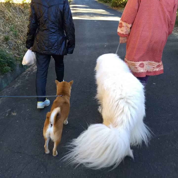 Dbeda373 4e4e 46d4 9fe0 958ee77cb574 1513602821963