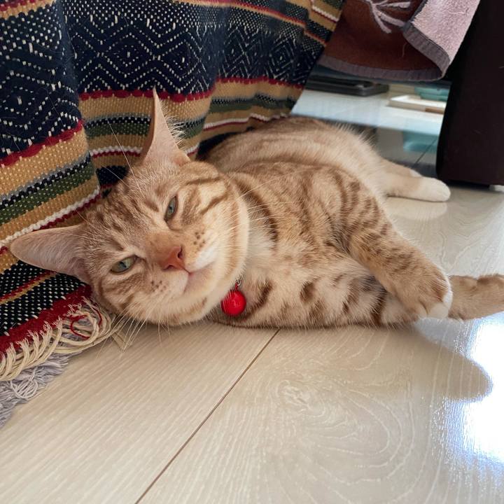 Dbedafba 75cd 4e13 9bfa 9f9dfd8ec14d 1627093905108