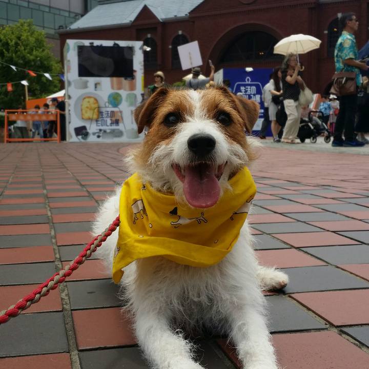 Dbedd967 7af2 4d22 b809 668315f96fe0 1528512604073