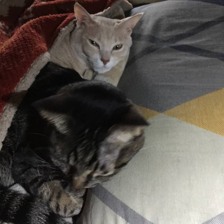 Dbede31f 33ed 48dd 9eda 9e66cc7915be 1513658933985