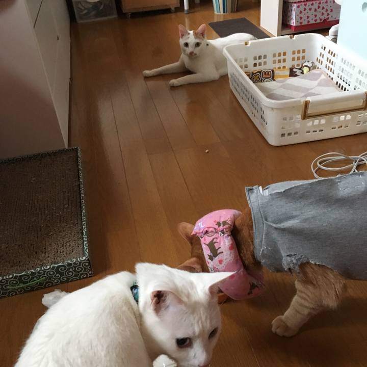 Dbee0761 684f 4918 a792 abd513d6b943 1529702713455