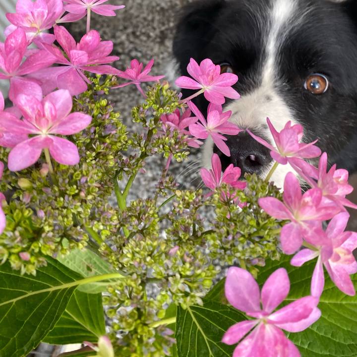 Dbee2896 e989 4f9f 97fd 73b2abdccf52 1621384502089