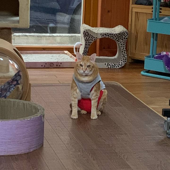 Dbee29a2 3431 4bd7 b130 e3f5bc1e8a2b 1618523223593