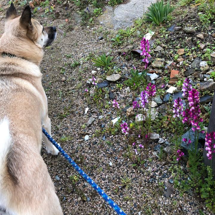 Dbee41e7 e290 4e05 8a68 f500de13a208 1553082707961