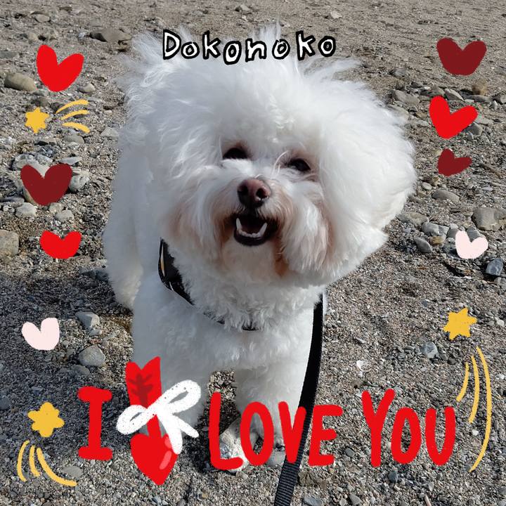 Dbee4e75 b46b 40f4 bf04 433c7087d109 1706775922040