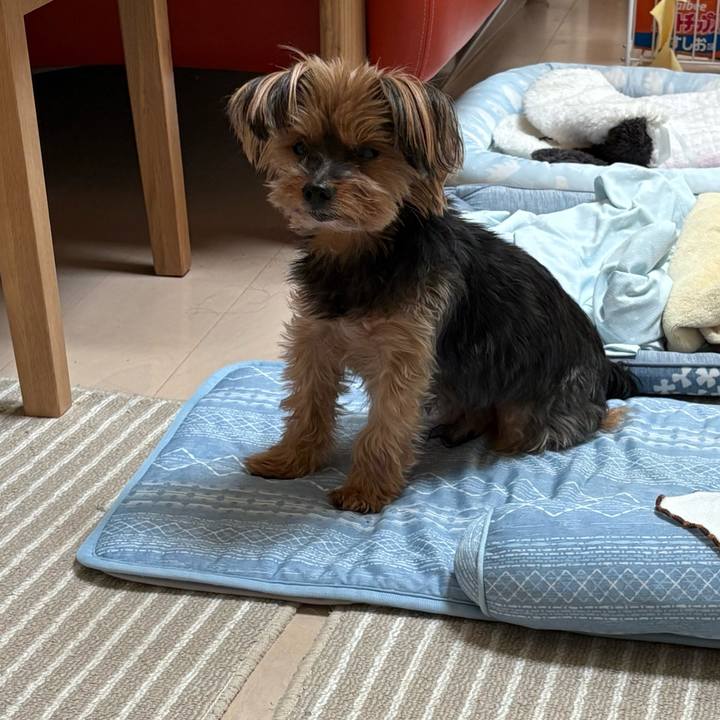 Dbee513f 092f 4c07 be2e f4471e594cdf 1756627036881