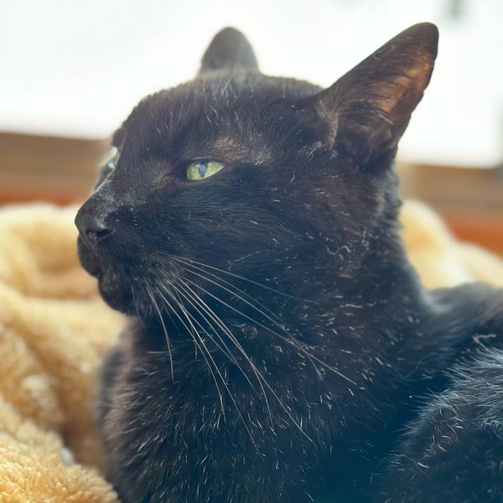 Dbee7e07 1815 4086 b9ae 212856940ee7 1699233649098