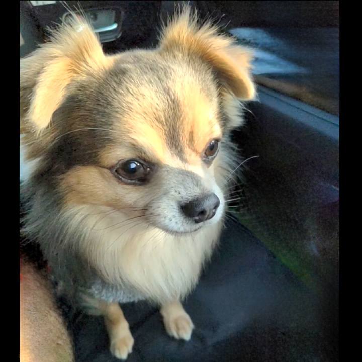 Dbeece73 a0d2 4576 8722 7eafb3e1143c 1758676506073