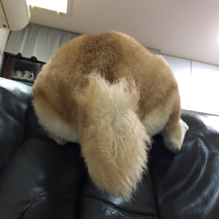 Dbeed01e bcc3 4331 a031 17774308bbf7 1547092409607