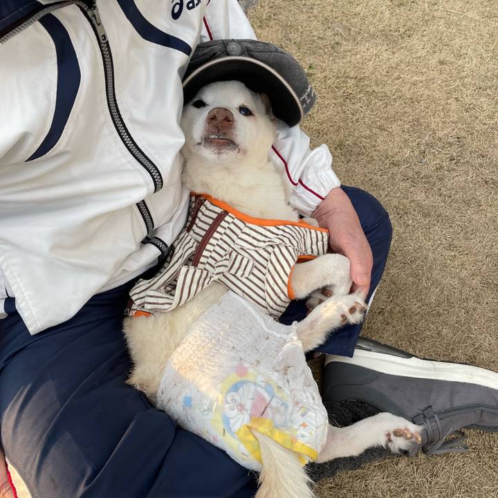 Dbeed066 1c36 4e29 8242 6595c8e9a17c 1677339050261