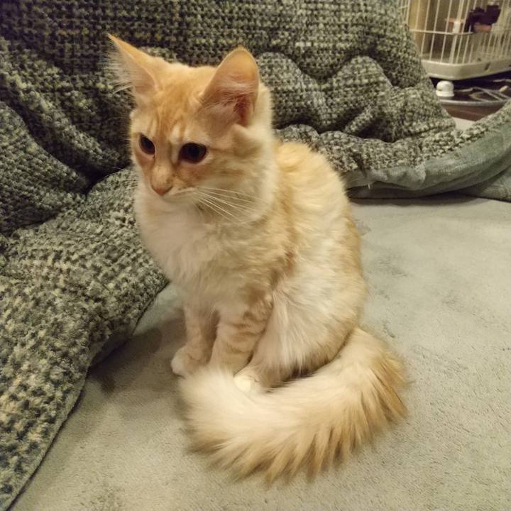 Dbef1208 ee23 4862 a16c 42a9b42640fc 1610401522648