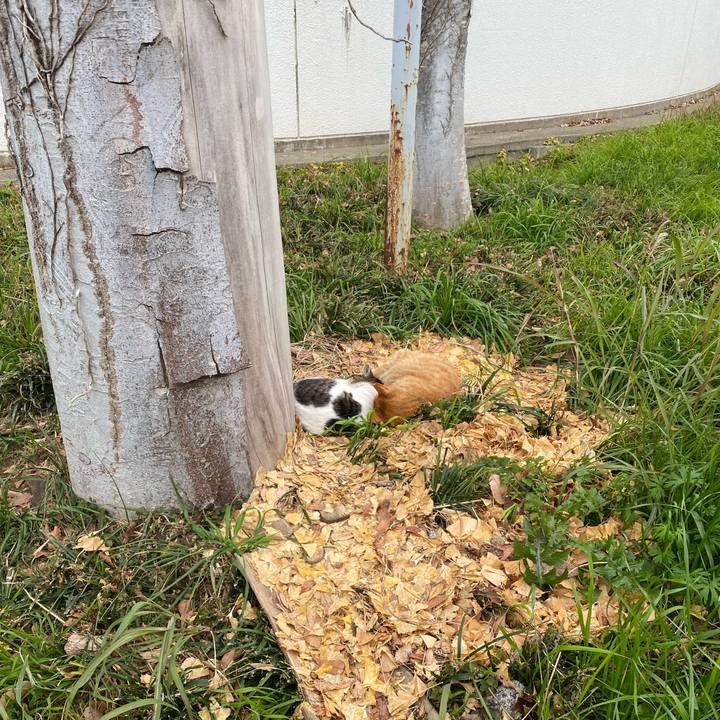 Dbef22b0 cb45 4638 99a6 b9c74e923799 1766200948195