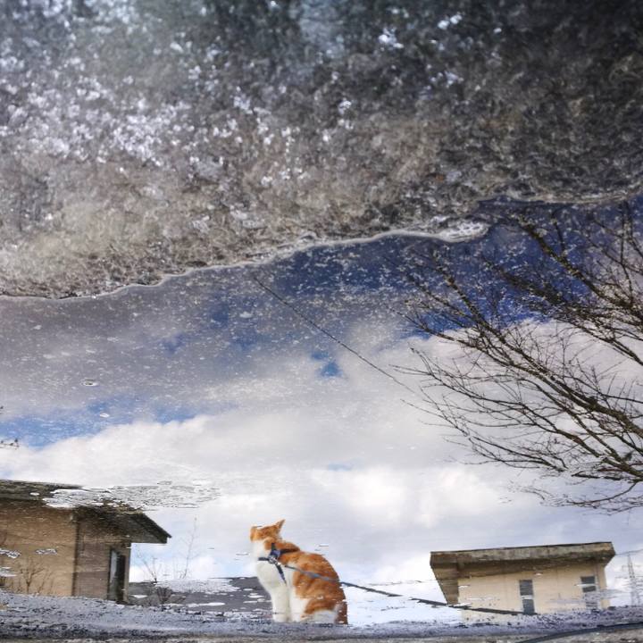 Dbef2547 3a7d 497b 831c f79f623db085 1517733987419