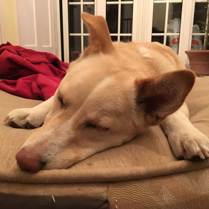 Dbef5970 7a8c 4040 804a b9b6868ce61a 1521279495624