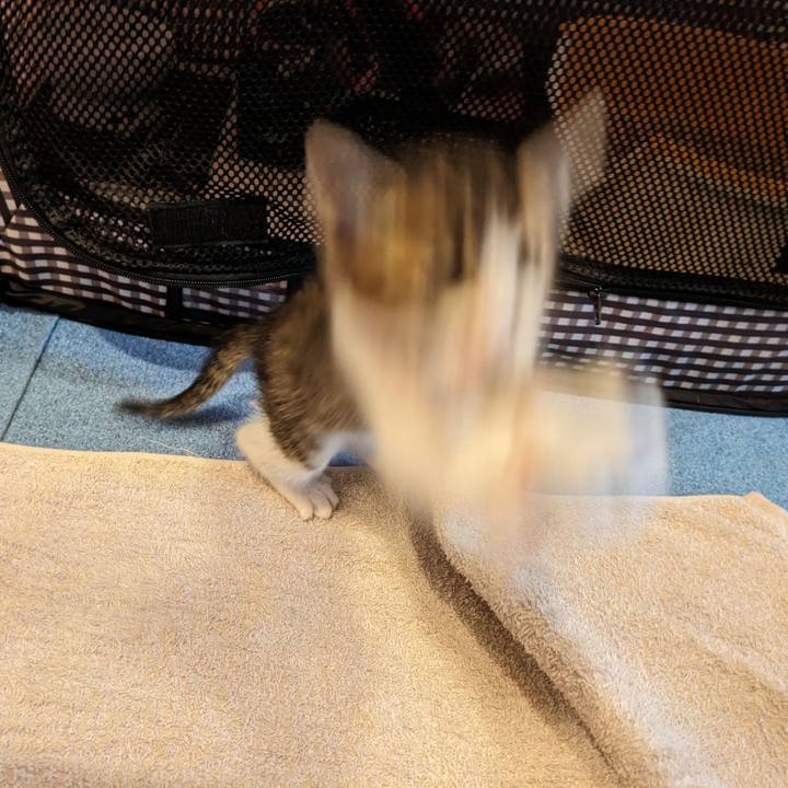 Dbef5ed5 35c5 4eae 94a8 9776262f96d7 1719207130014